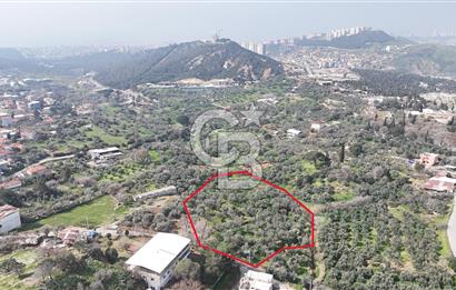 Bayraklı, Doğançay Mah., 1.061 m2 Satılık Tarla