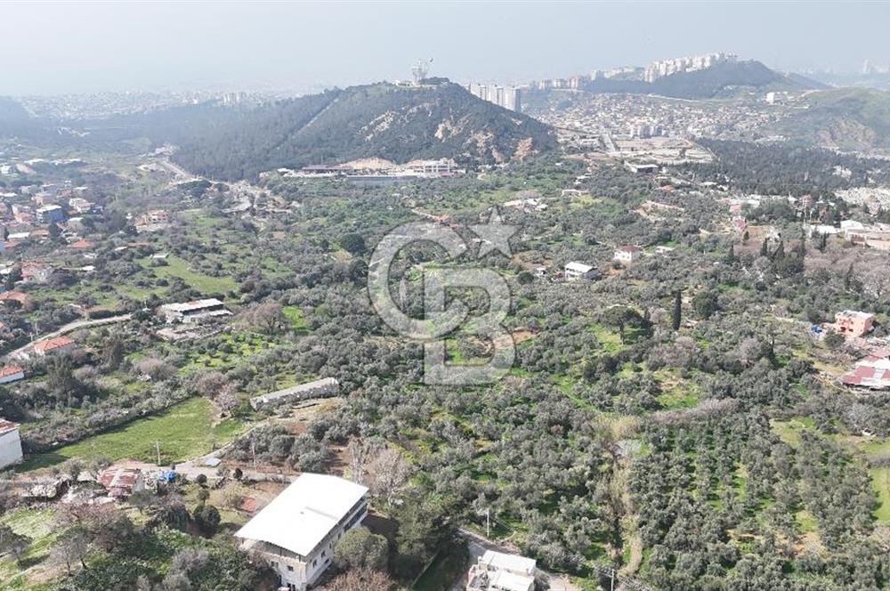 Bayraklı, Doğançay Mah., 1.061 m2 Satılık Tarla