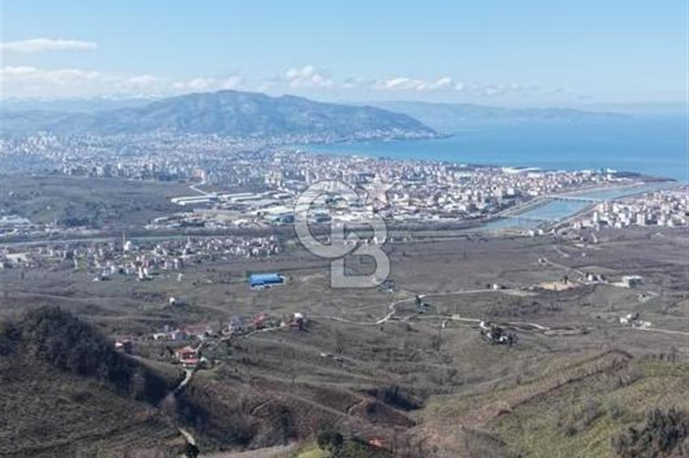AKÇATEPE'DE DENİZ VE ORDU MANZARALI SATILIK FINDIK BAHÇESİ