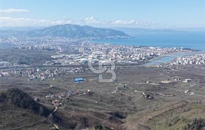 AKÇATEPE'DE DENİZ VE ORDU MANZARALI SATILIK FINDIK BAHÇESİ