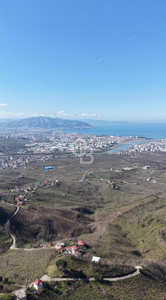 AKÇATEPE'DE DENİZ VE ORDU MANZARALI SATILIK FINDIK BAHÇESİ