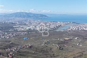 AKÇATEPE'DE DENİZ VE ORDU MANZARALI SATILIK FINDIK BAHÇESİ - 4 - 339096