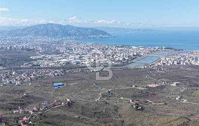 AKÇATEPE'DE DENİZ VE ORDU MANZARALI SATILIK FINDIK BAHÇESİ