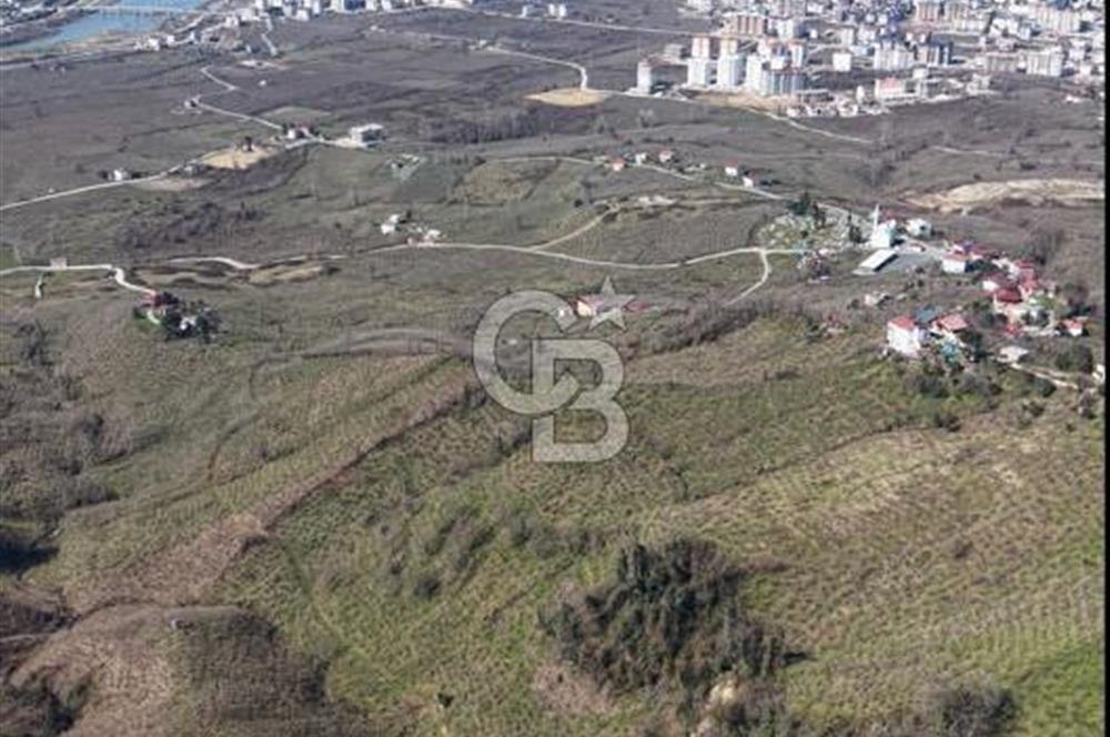 AKÇATEPE'DE DENİZ VE ORDU MANZARALI SATILIK FINDIK BAHÇESİ