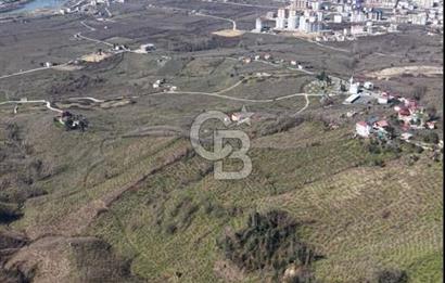 AKÇATEPE'DE DENİZ VE ORDU MANZARALI SATILIK FINDIK BAHÇESİ