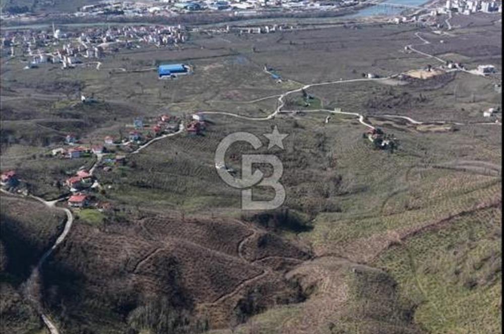 AKÇATEPE'DE DENİZ VE ORDU MANZARALI SATILIK FINDIK BAHÇESİ