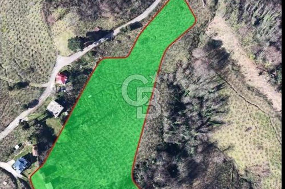 AKÇATEPE'DE DENİZ VE ORDU MANZARALI SATILIK FINDIK BAHÇESİ