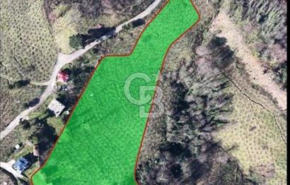 AKÇATEPE'DE DENİZ VE ORDU MANZARALI SATILIK FINDIK BAHÇESİ