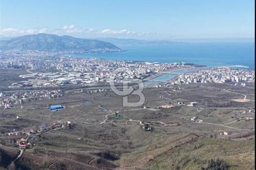 AKÇATEPE'DE DENİZ VE ORDU MANZARALI SATILIK FINDIK BAHÇESİ