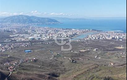 AKÇATEPE'DE DENİZ VE ORDU MANZARALI SATILIK FINDIK BAHÇESİ