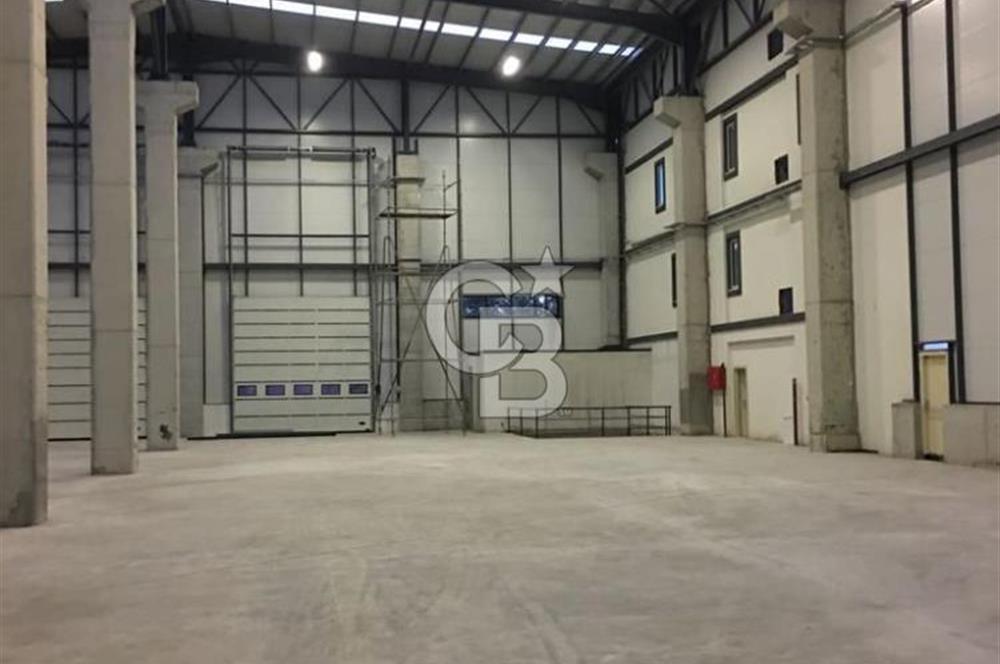 CB FLY'DAN GEBZE PLASTİKÇİLER OSB'DE SATILIK FABRİKA