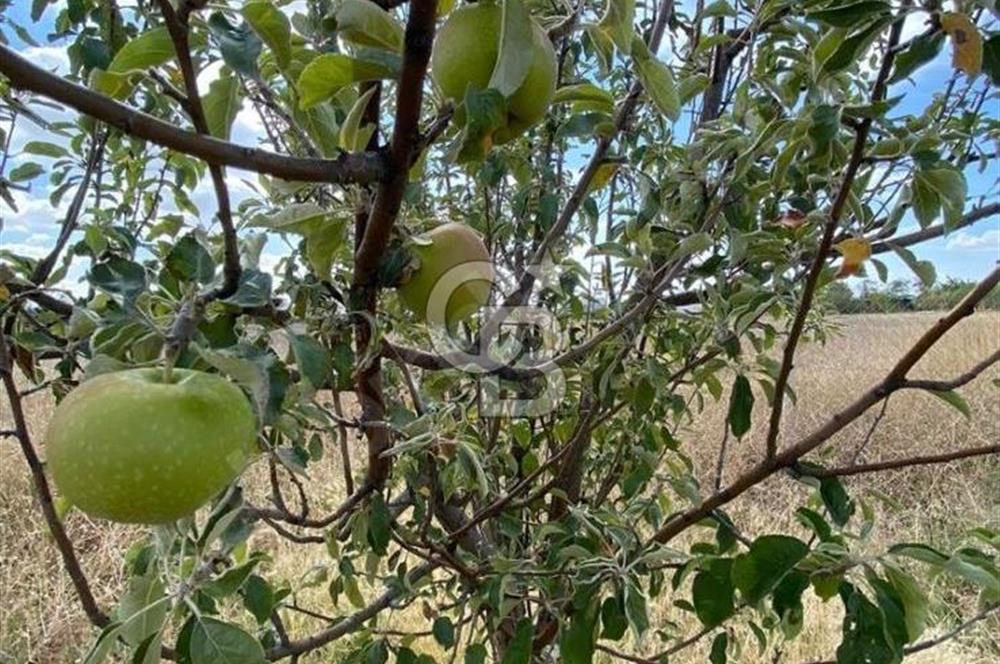 Gölbaşı Karaali Yazlık Mahallesi’nde 2314 m² Villa İmarlı Arsa