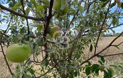 Gölbaşı Karaali Yazlık Mahallesi’nde 2314 m² Villa İmarlı Arsa