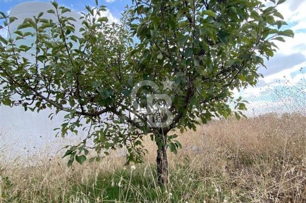 Gölbaşı Karaali Yazlık Mahallesi’nde 2314 m² Villa İmarlı Arsa