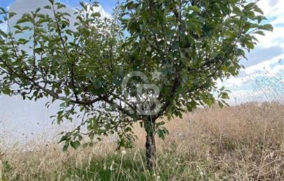 Gölbaşı Karaali Yazlık Mahallesi’nde 2314 m² Villa İmarlı Arsa