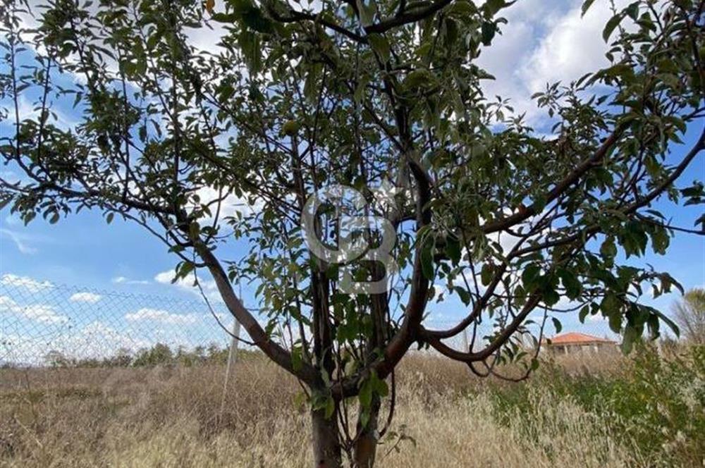 Gölbaşı Karaali Yazlık Mahallesi’nde 2314 m² Villa İmarlı Arsa