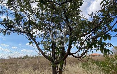 Gölbaşı Karaali Yazlık Mahallesi’nde 2314 m² Villa İmarlı Arsa