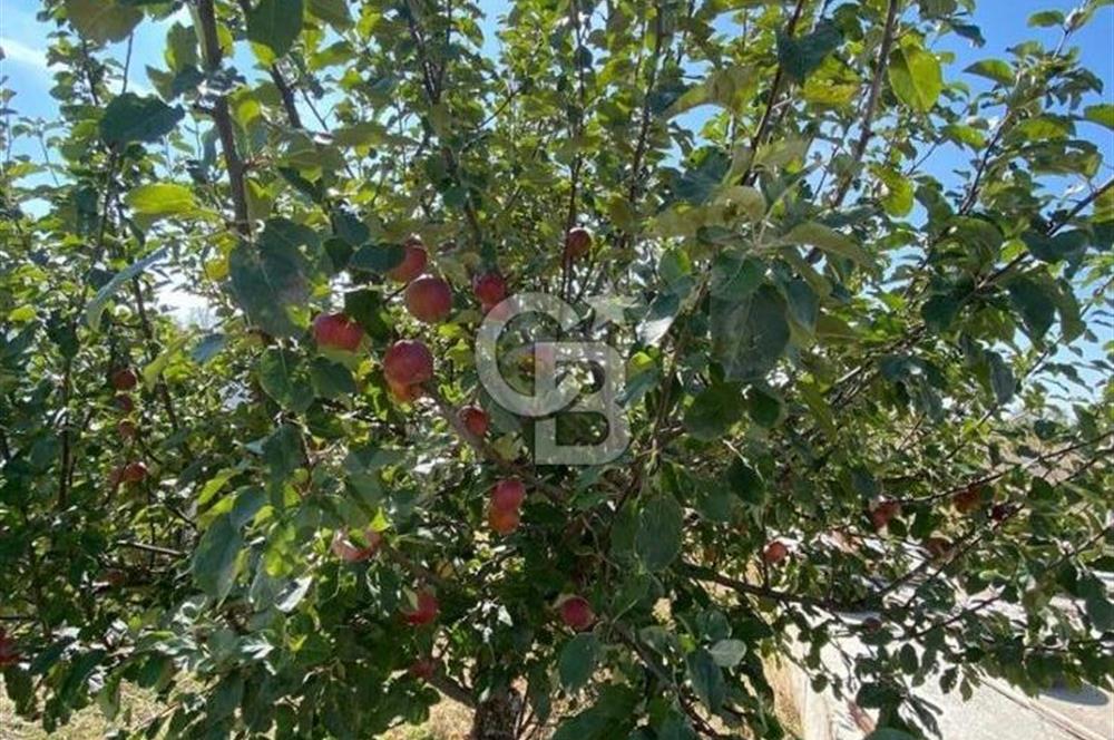 Gölbaşı Karaali Yazlık Mahallesi’nde 2314 m² Villa İmarlı Arsa