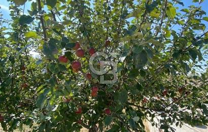 Gölbaşı Karaali Yazlık Mahallesi’nde 2314 m² Villa İmarlı Arsa