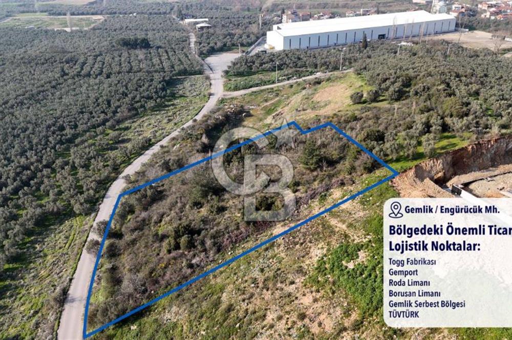 GEMLİK ENGÜRÜCÜK'TE DEPO/ANTREPO İMARLI LOJİSTİK YATIRIM ARSASI