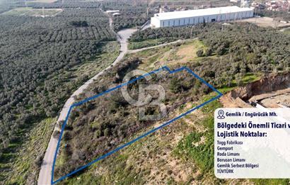 GEMLİK ENGÜRÜCÜK'TE DEPO/ANTREPO İMARLI LOJİSTİK YATIRIM ARSASI