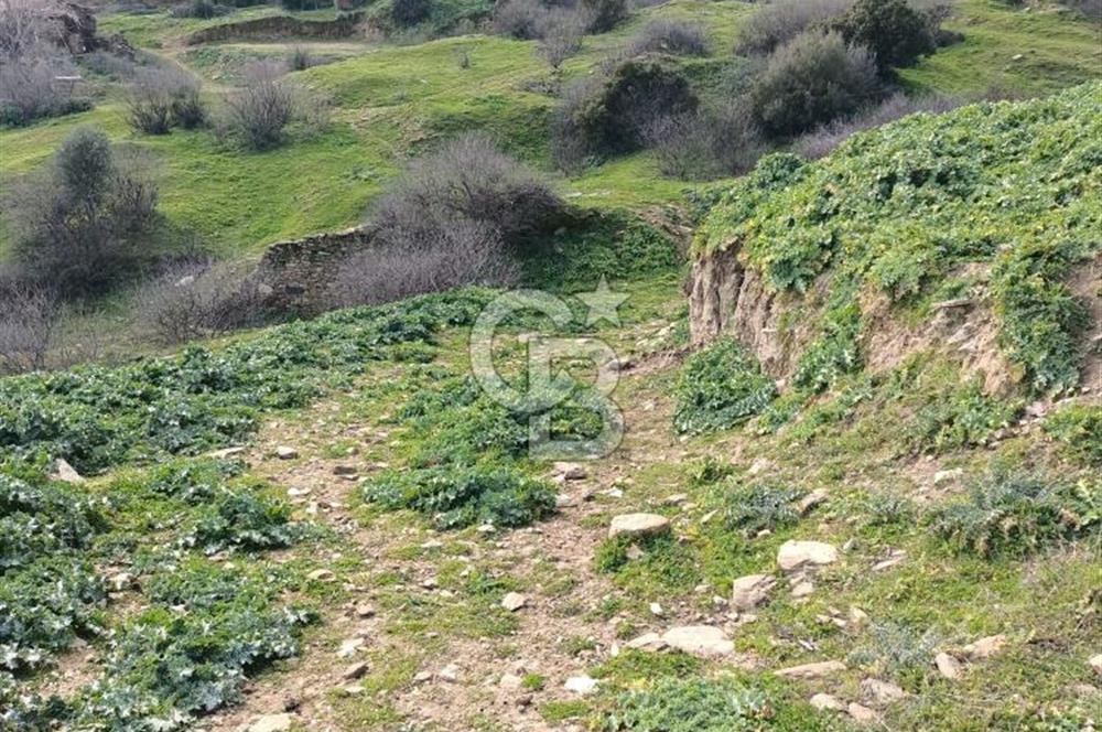 İzmir Bayındır Ana Yoluna Yakın Fırsat İmarlı Satılık Arsa