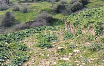 İzmir Bayındır Ana Yoluna Yakın Fırsat İmarlı Satılık Arsa