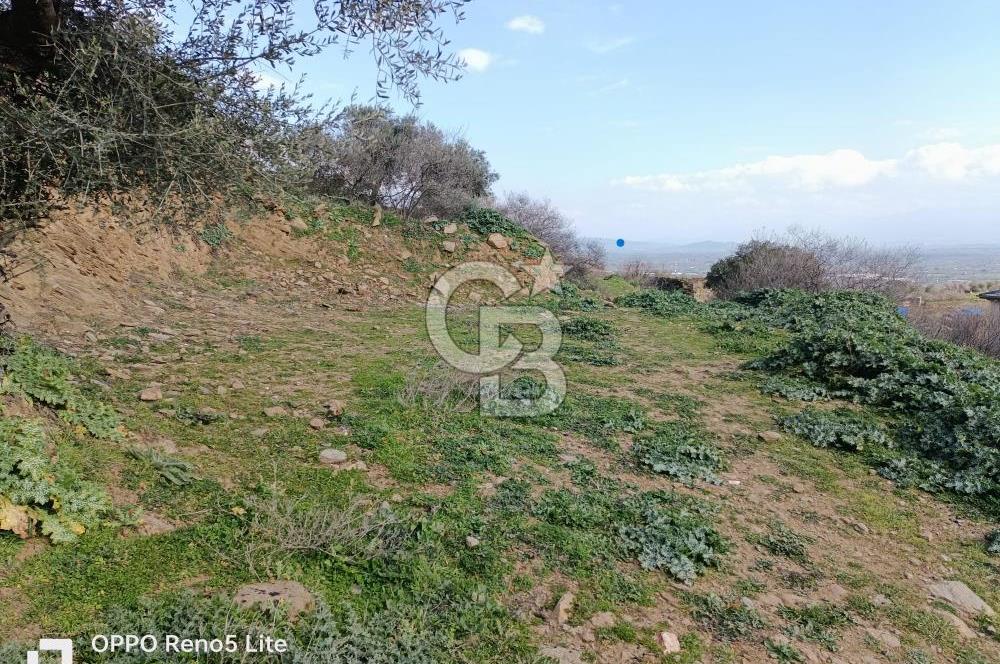 İzmir Bayındır Ana Yoluna Yakın Fırsat İmarlı Satılık Arsa