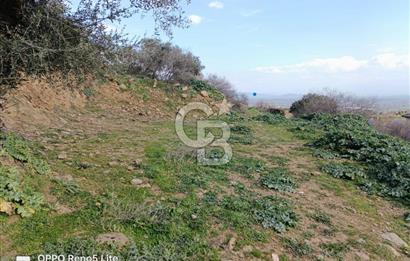 İzmir Bayındır Ana Yoluna Yakın Fırsat İmarlı Satılık Arsa