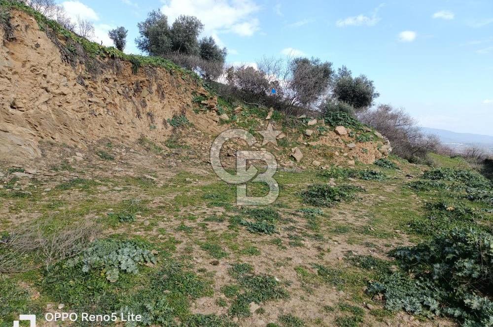 İzmir Bayındır Ana Yoluna Yakın Fırsat İmarlı Satılık Arsa