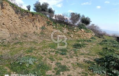 İzmir Bayındır Ana Yoluna Yakın Fırsat İmarlı Satılık Arsa