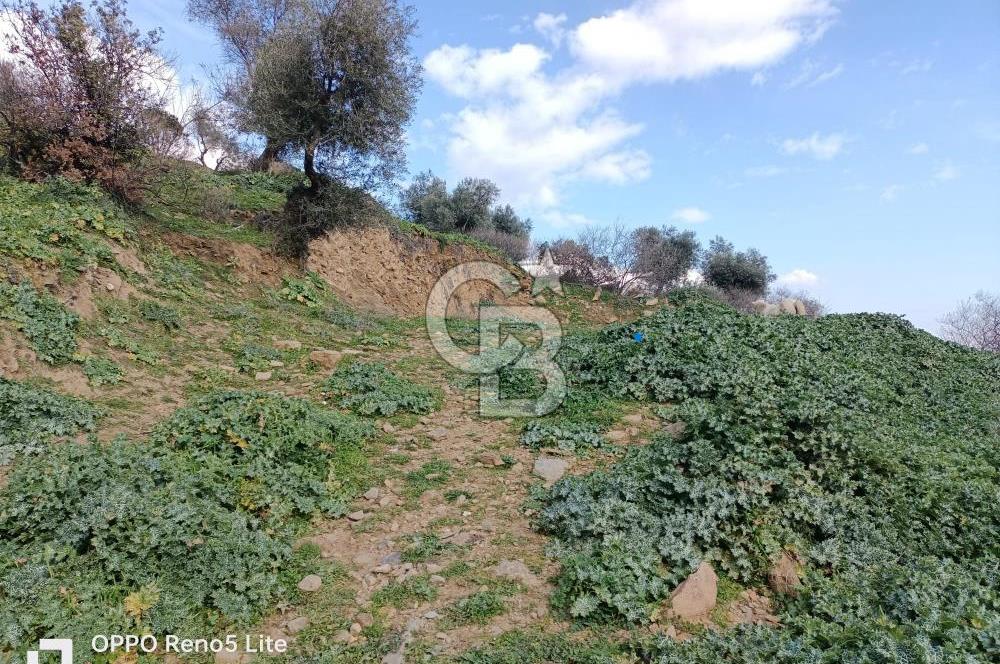 İzmir Bayındır Ana Yoluna Yakın Fırsat İmarlı Satılık Arsa