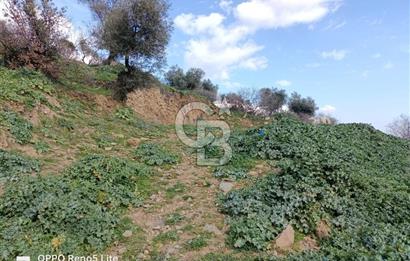 İzmir Bayındır Ana Yoluna Yakın Fırsat İmarlı Satılık Arsa