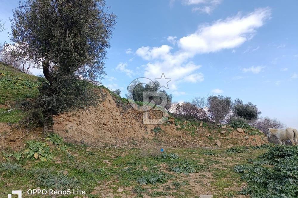 İzmir Bayındır Ana Yoluna Yakın Fırsat İmarlı Satılık Arsa