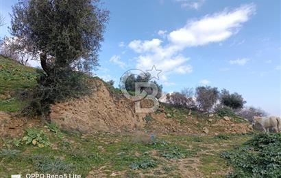 İzmir Bayındır Ana Yoluna Yakın Fırsat İmarlı Satılık Arsa