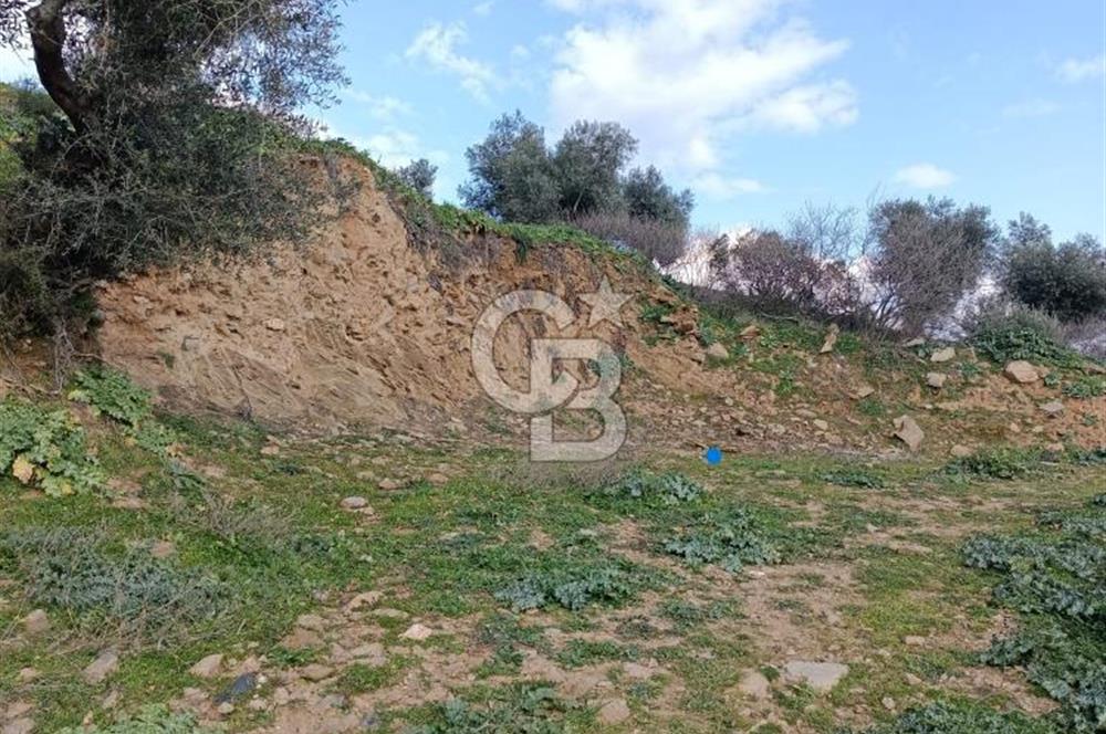 İzmir Bayındır Ana Yoluna Yakın Fırsat İmarlı Satılık Arsa