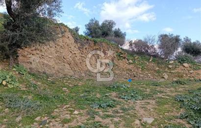 İzmir Bayındır Ana Yoluna Yakın Fırsat İmarlı Satılık Arsa