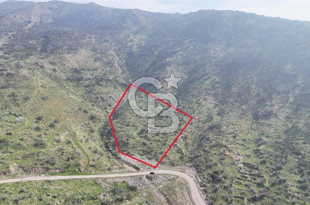 Bayraklı, Doğançay Mah., 1.496 m2 Satılık Tarla