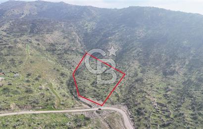 Bayraklı, Doğançay Mah., 1.496 m2 Satılık Tarla