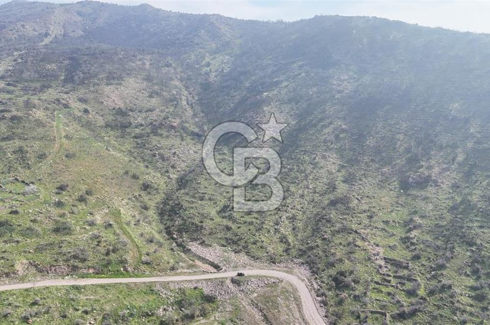 Bayraklı, Doğançay Mah., 1.496 m2 Satılık Tarla