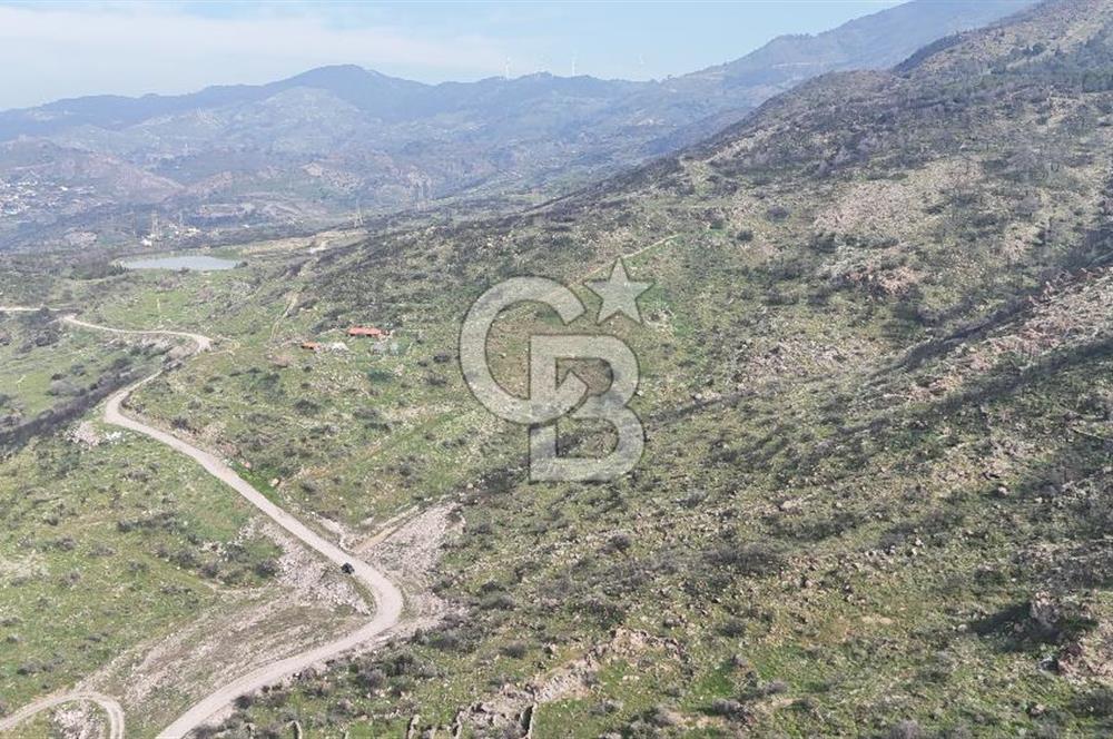 Bayraklı, Doğançay Mah., 1.496 m2 Satılık Tarla