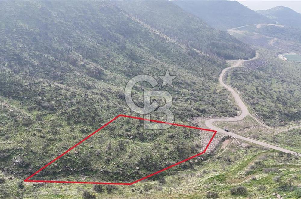 Bayraklı, Doğançay Mah., 1.496 m2 Satılık Tarla