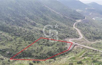 Bayraklı, Doğançay Mah., 1.496 m2 Satılık Tarla