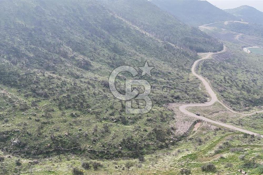 Bayraklı, Doğançay Mah., 1.496 m2 Satılık Tarla