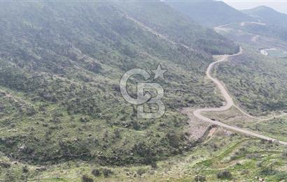 Bayraklı, Doğançay Mah., 1.496 m2 Satılık Tarla