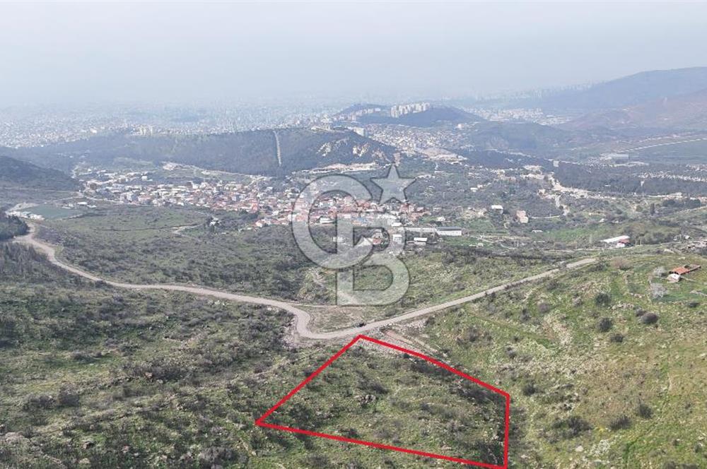 Bayraklı, Doğançay Mah., 1.496 m2 Satılık Tarla