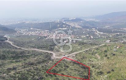 Bayraklı, Doğançay Mah., 1.496 m2 Satılık Tarla
