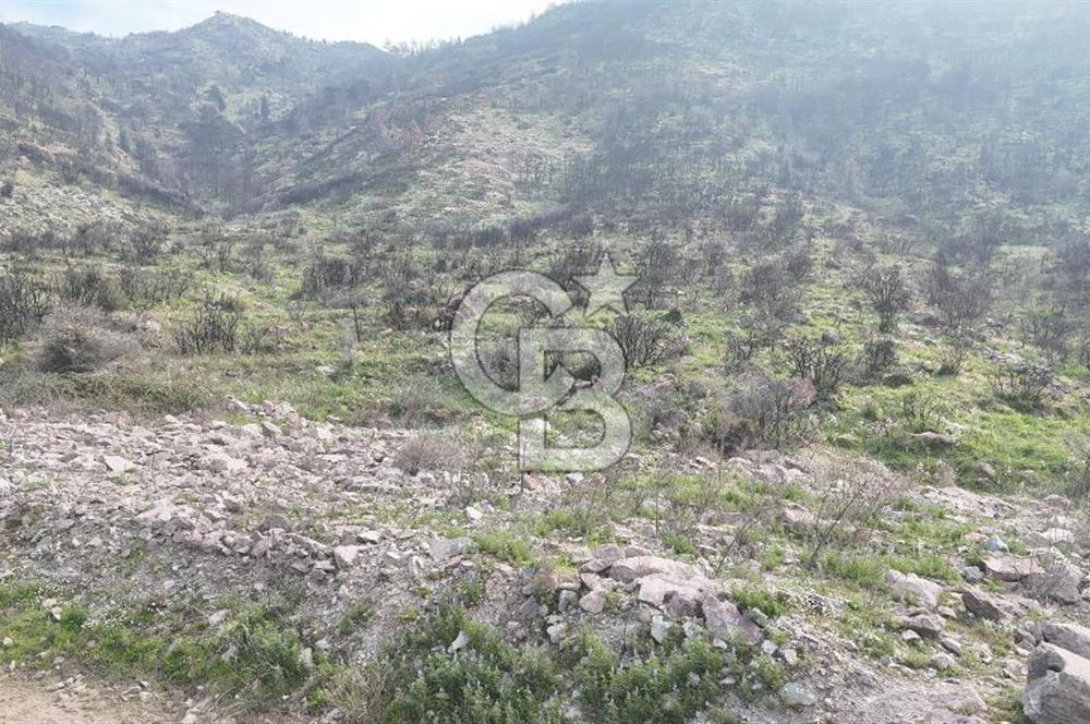 Bayraklı, Doğançay Mah., 1.496 m2 Satılık Tarla