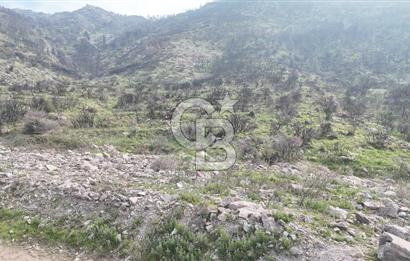 Bayraklı, Doğançay Mah., 1.496 m2 Satılık Tarla