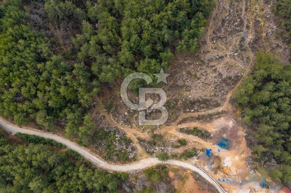 Yatırım ve Hobi Bahçesi İçin Uygun – Yenice Satılık Tarla